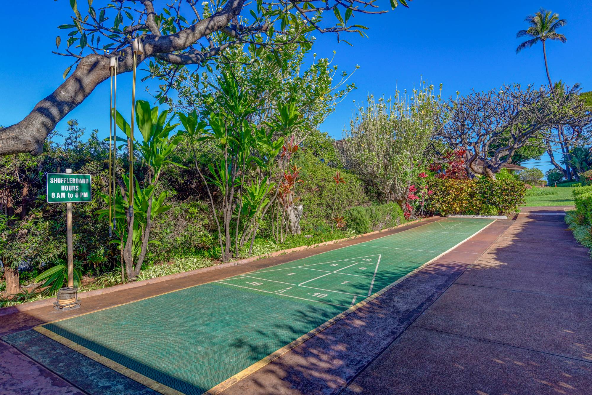 Shuffle board