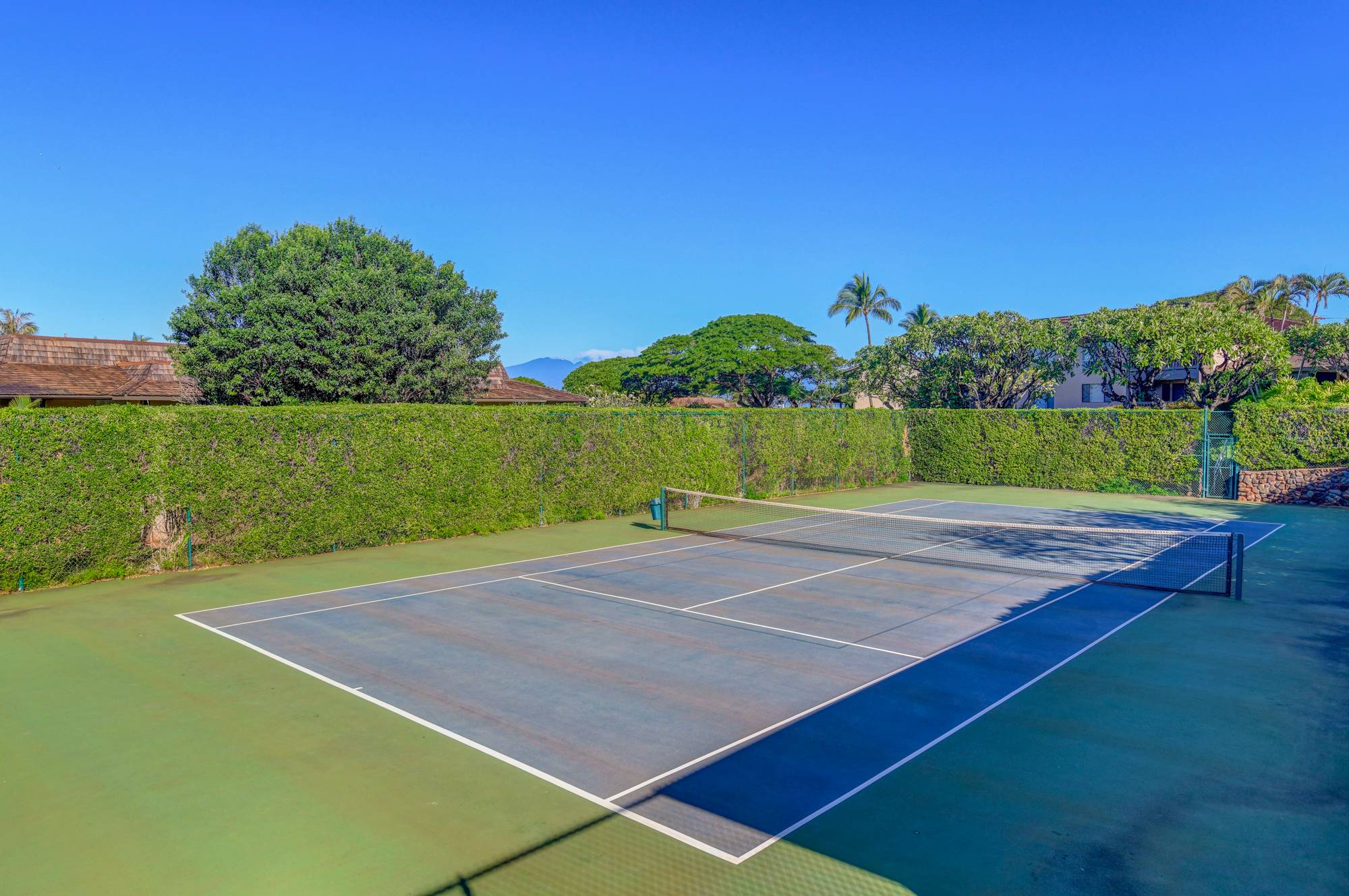Tennis court