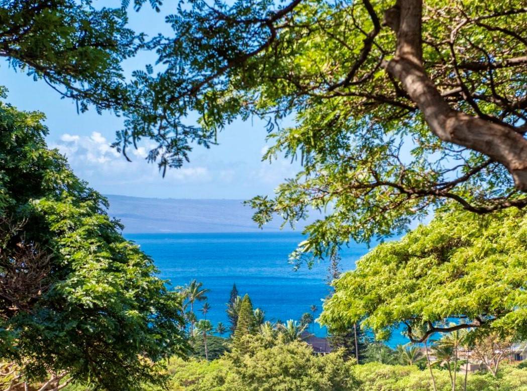 Ocean View