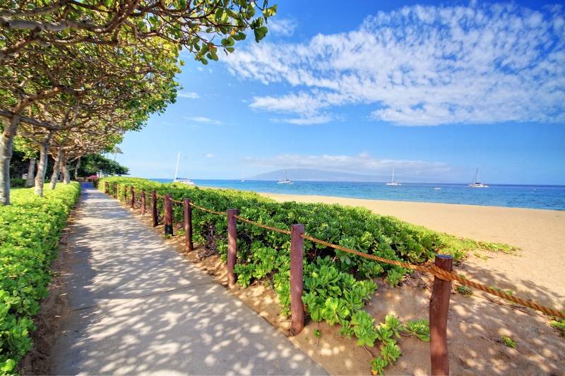 26. Whaler Beach Walk