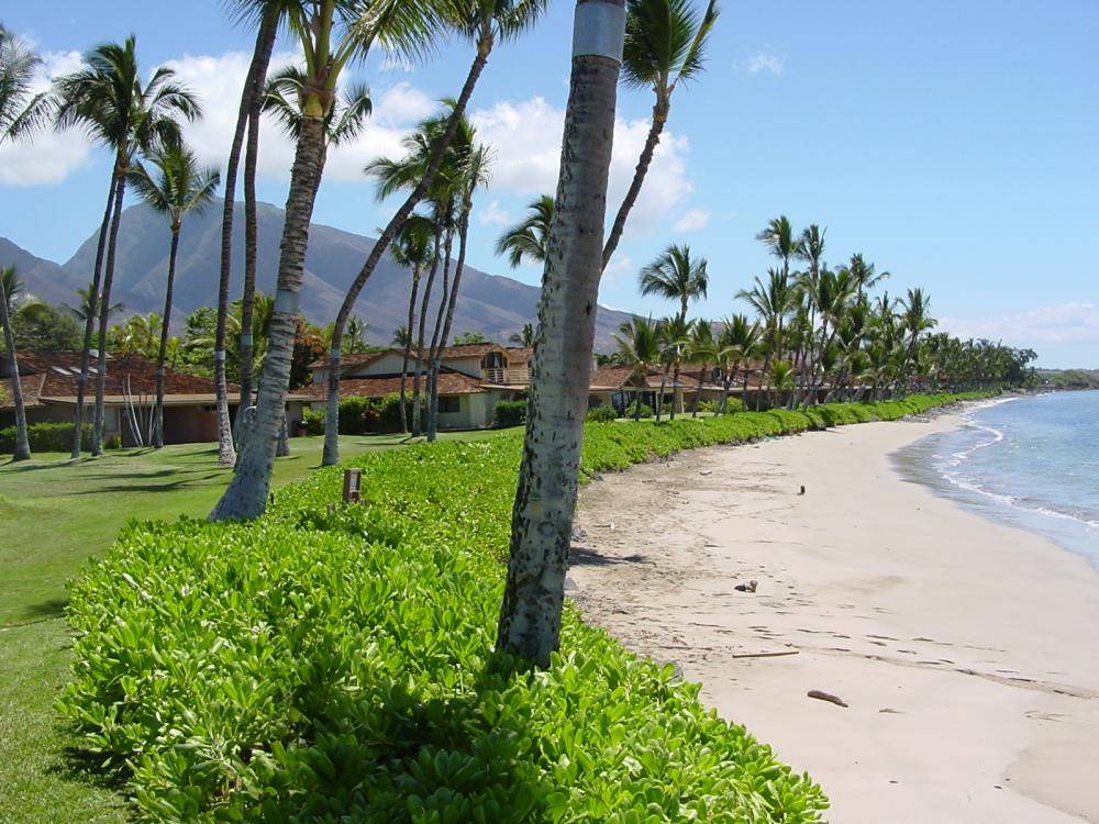 Puamana Beach