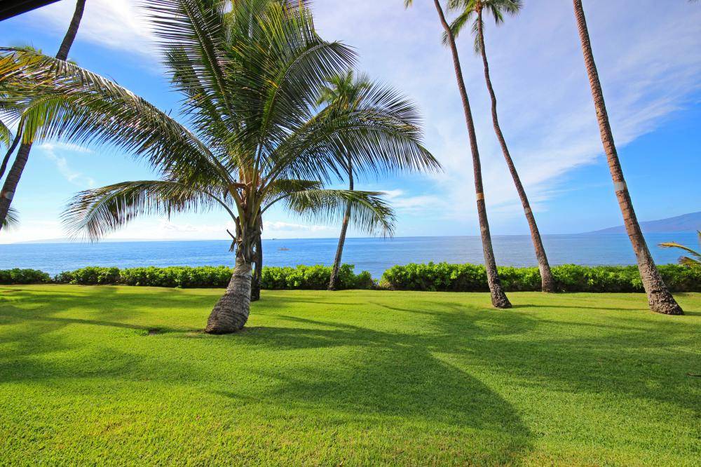 Beachfront