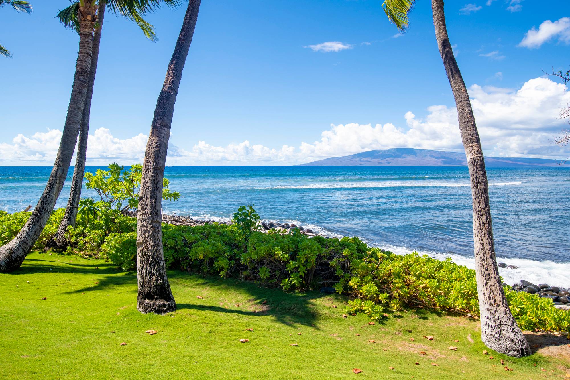 Puamana 583 Oceanfront