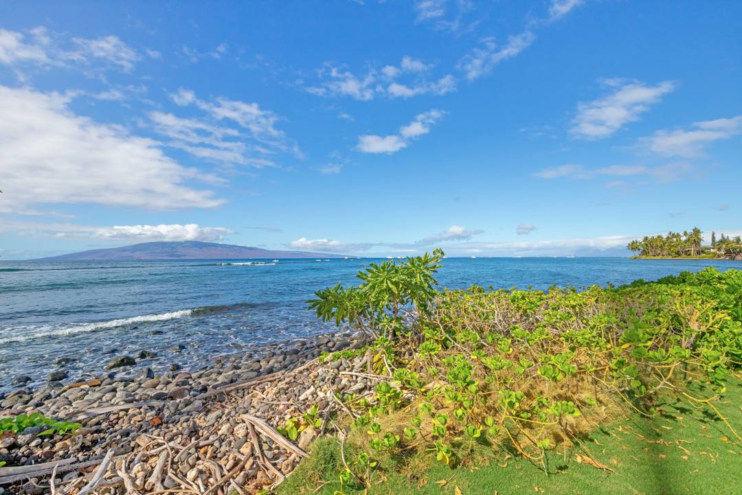 ocean view