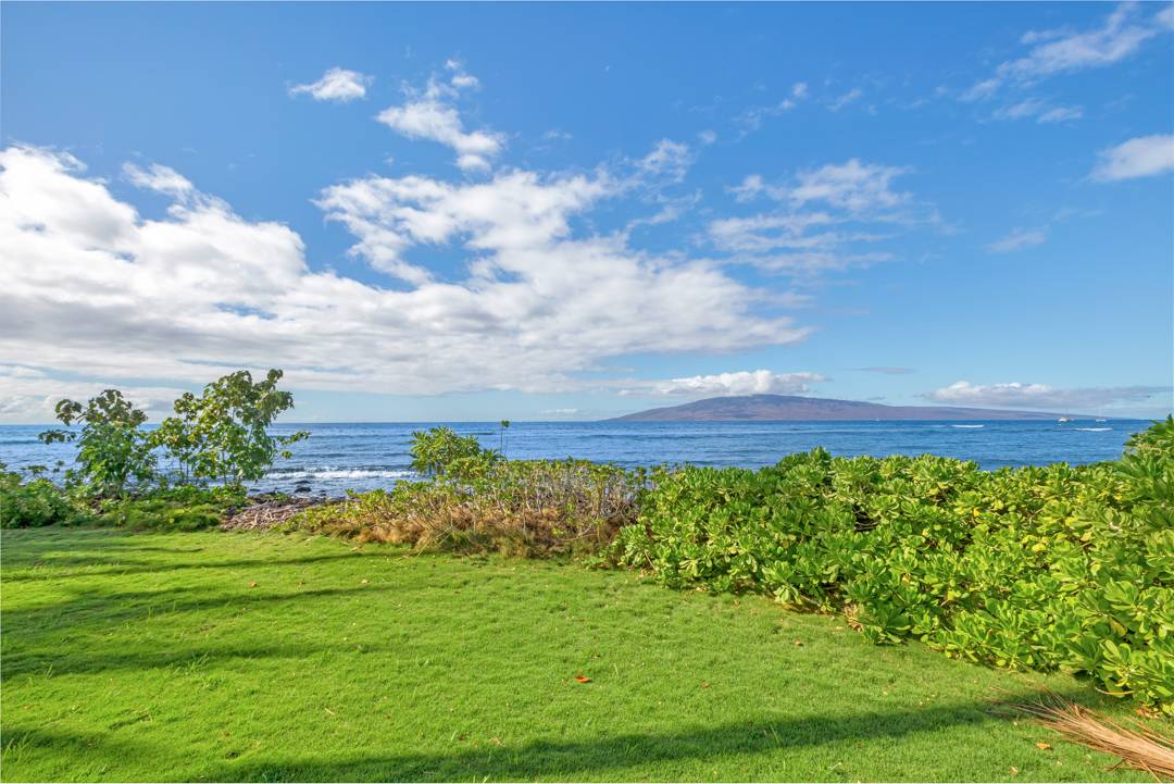 ocean view