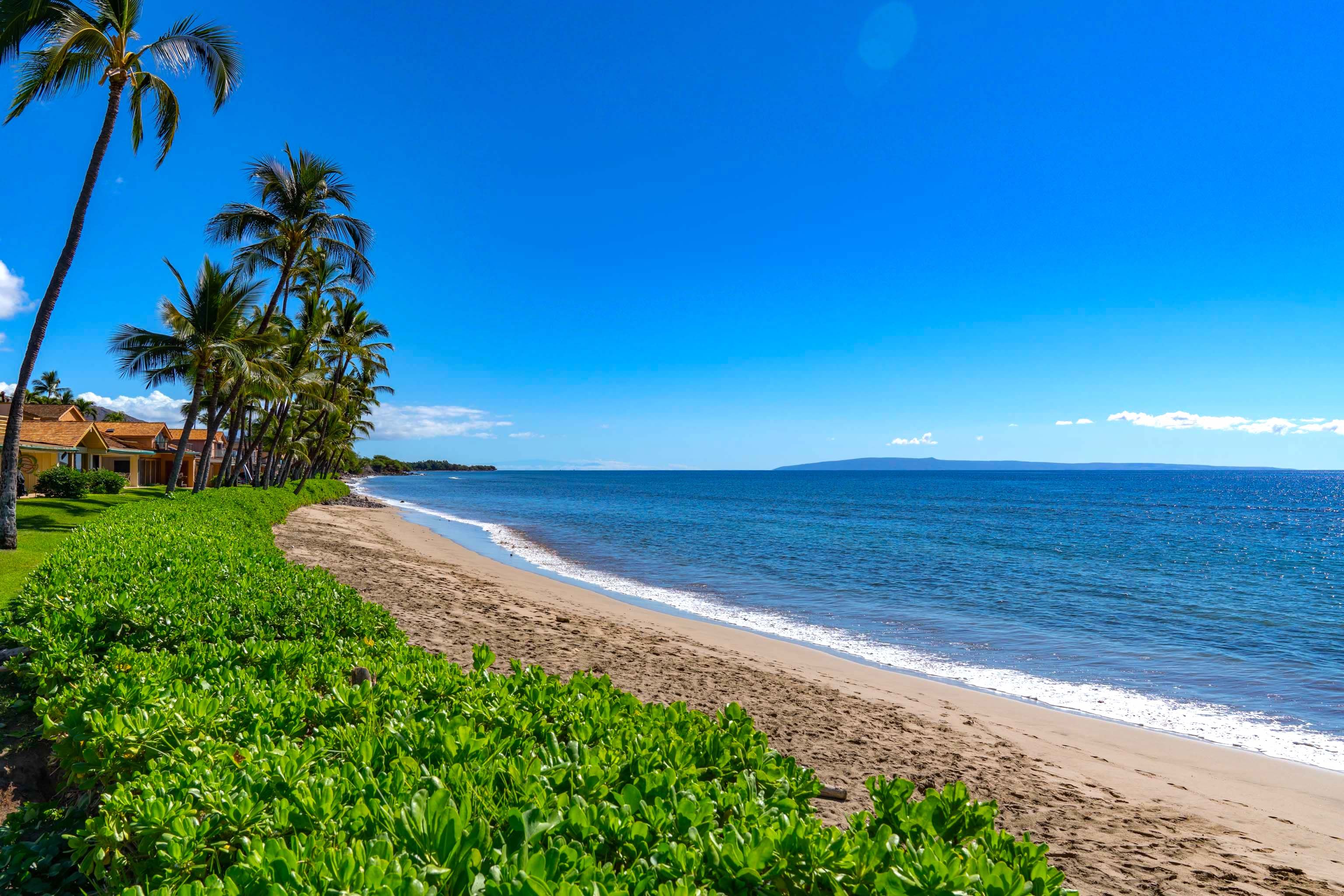 Puamana 46-2 Two Bedroom Ocean Front