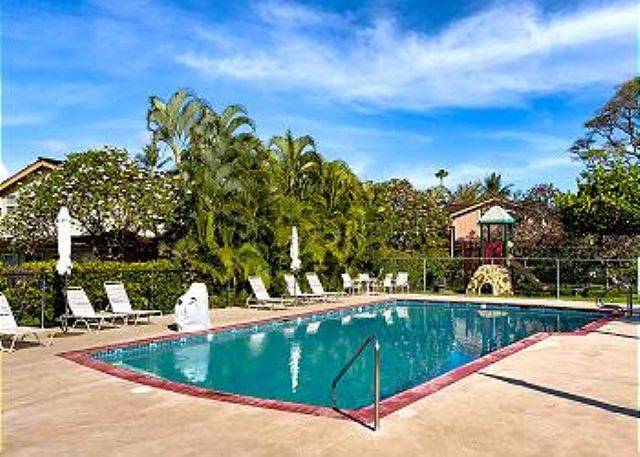 Dolphin Pool 