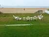 Spacious yard and direct beach views