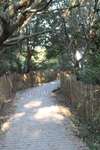 Beach path
