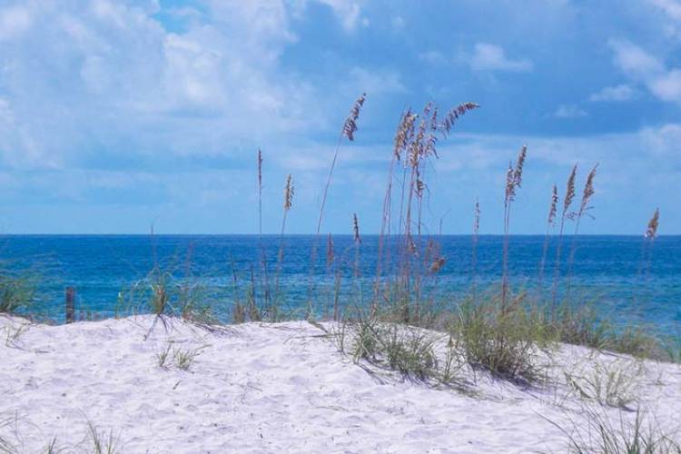 Gulf Shores Gulf Shores