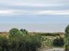 Ocean view