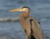 Enjoy the nature and wildlife on the island!