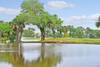 Enjoy one of the two golf courses at Wild Dunes!