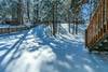 Winter Backyard