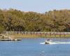 Enjoy the local IOP Marina!