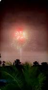 Twisted Palms is the perfect spot to watch the City Fireworks on the 4th of July and New Year's Eve. This is your view from the porch...