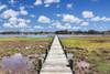 Dock