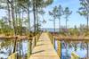 Dock