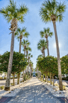 Beautiful stroll to the beach access