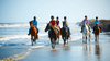 Equestrian Center - Ride along the beach!