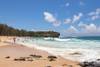 Shipwreck Beach