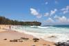 Shipwreck Beach
