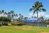 Lanai View