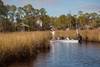 Bring your boat and enjoy fishing the Choctawhatchee Bay