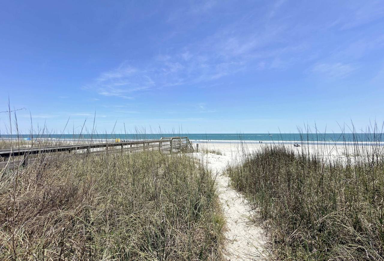 Spend a day in the sand & surf. Spend a day in the sand & surf.