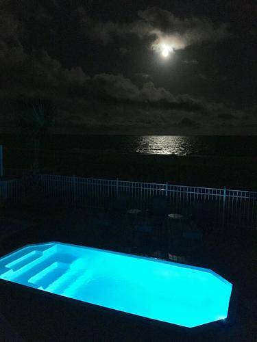 Nighttime swimming under the moonlight. Nighttime swimming under the moonlight.