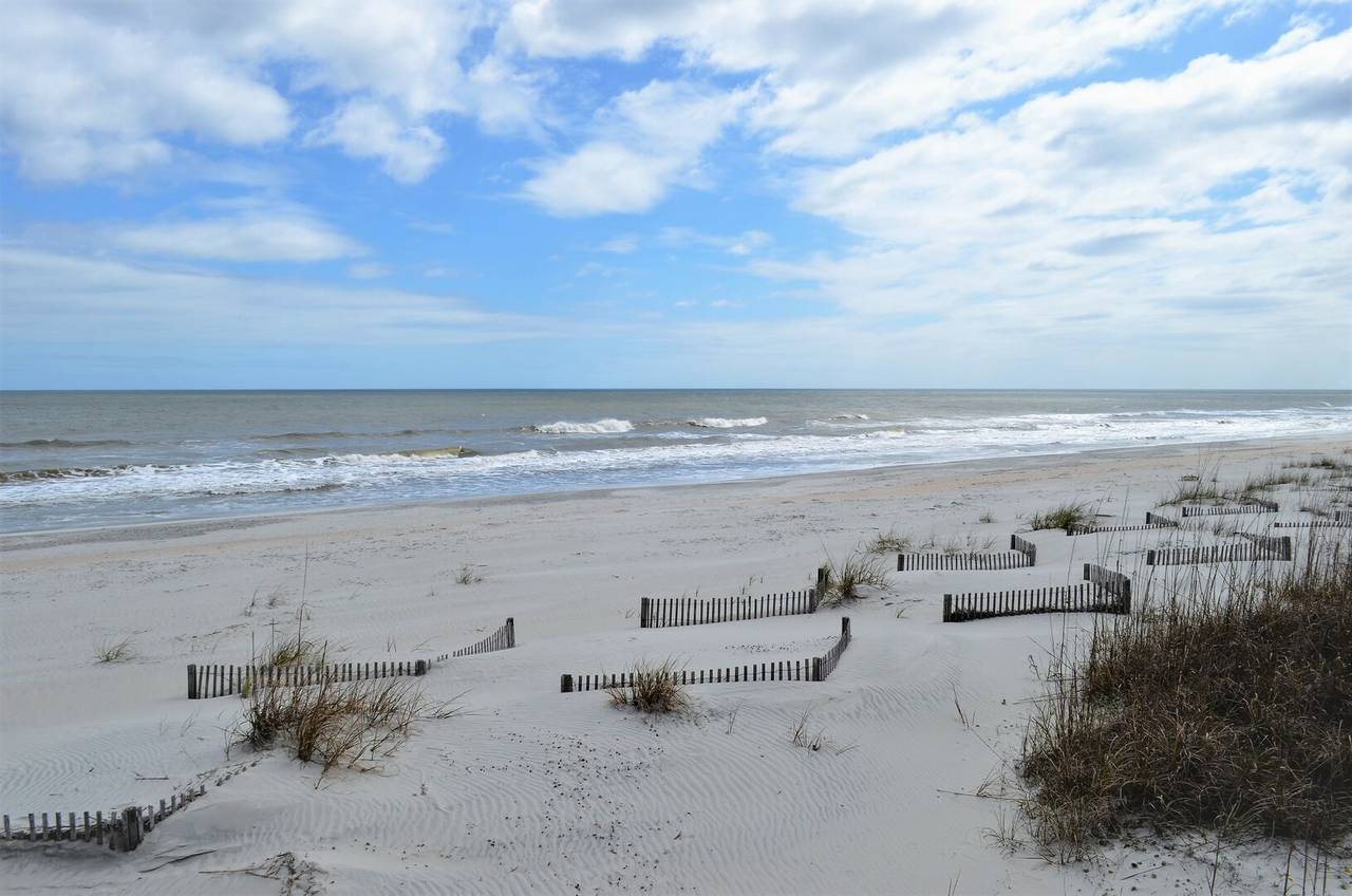Sun, sand, & seashells! Sun, sand, & seashells!
