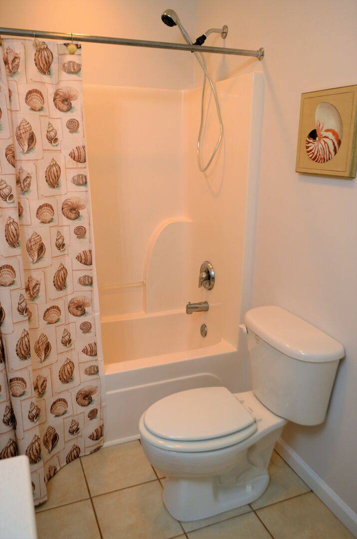shower/tub combo. shower/tub combo.