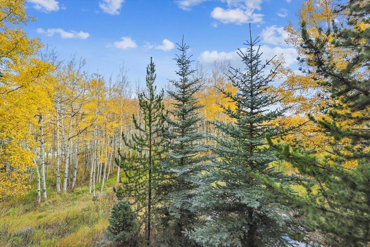 Exterior - Endless Trails Cabin - Silverthorne Vacation Rental Exterior - Endless Trails Cabin - Silverthorne Vacation Rental