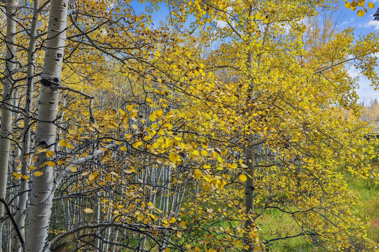 Exterior - Endless Trails Cabin - Silverthorne Vacation Rental Exterior - Endless Trails Cabin - Silverthorne Vacation Rental