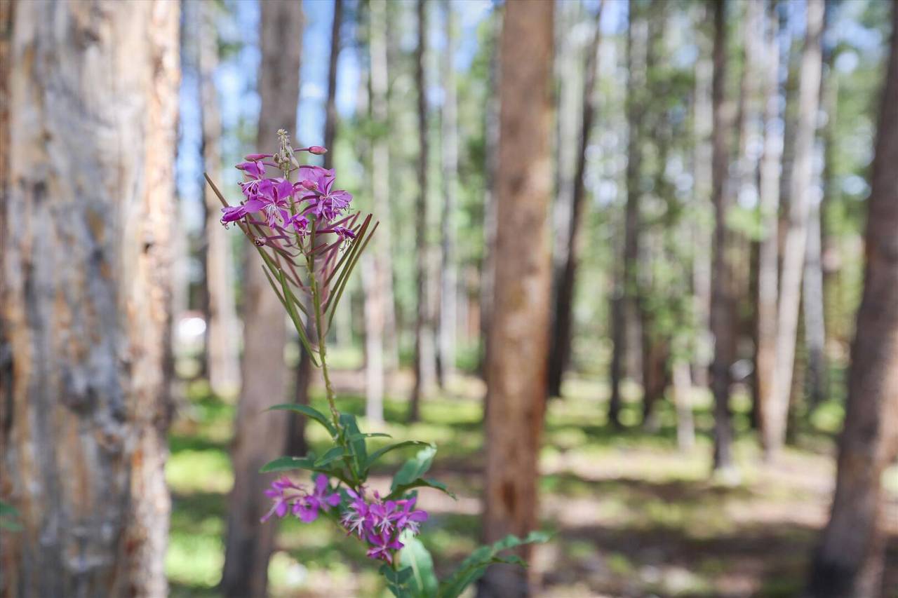 Exterior, SnowAway, Breckenridge Vacation Rental Exterior, SnowAway, Breckenridge Vacation Rental