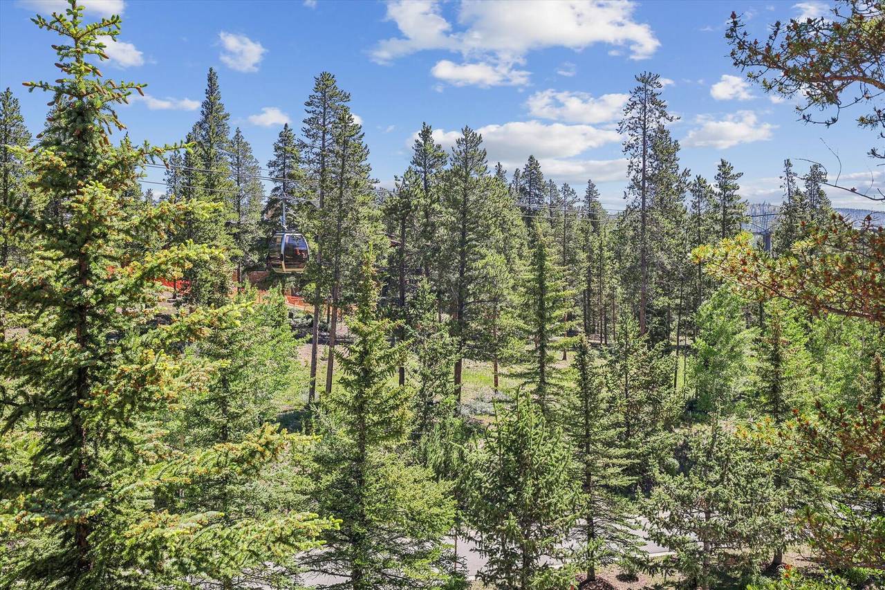 Exterior - Cucumber Patch 60 - Breckenridge Vacation Rental Exterior - Cucumber Patch 60 - Breckenridge Vacation Rental