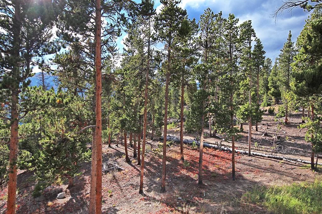 Exterior - Dunkin Hill Lodge - Breckenridge Vacation Rental Exterior - Dunkin Hill Lodge - Breckenridge Vacation Rental