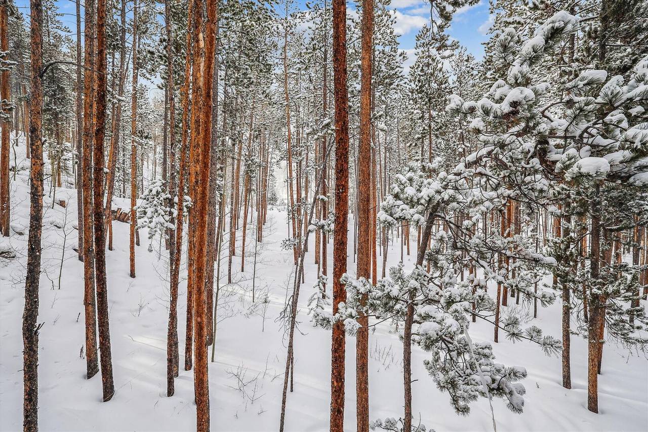 Exterior - Lupine Chalet - Frisco Vacation Rental Exterior - Lupine Chalet - Frisco Vacation Rental