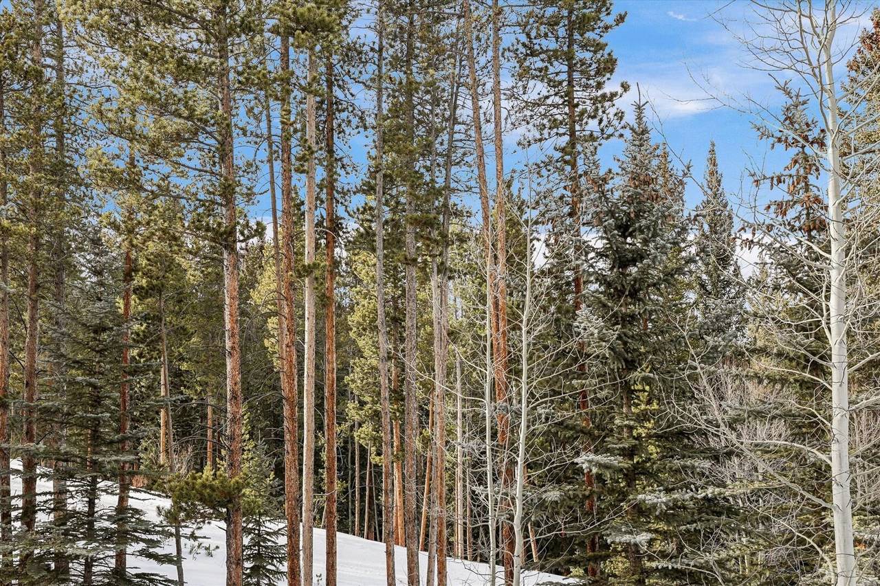 Exterior - Ski Inn - Breckenridge Vacation Rental Exterior - Ski Inn - Breckenridge Vacation Rental