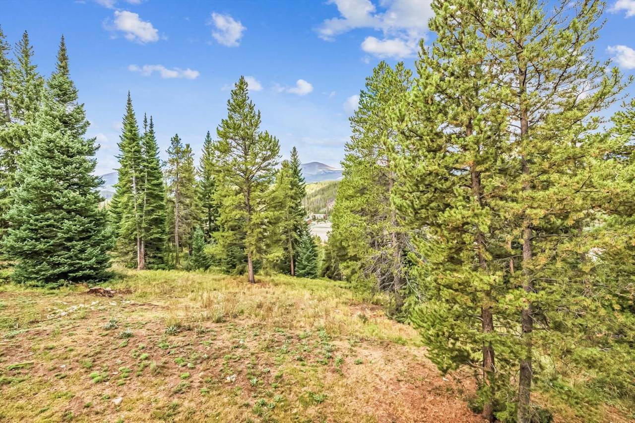 Exterior - Little Bear Lodge - Breckenridge Vacation Rental Exterior - Little Bear Lodge - Breckenridge Vacation Rental