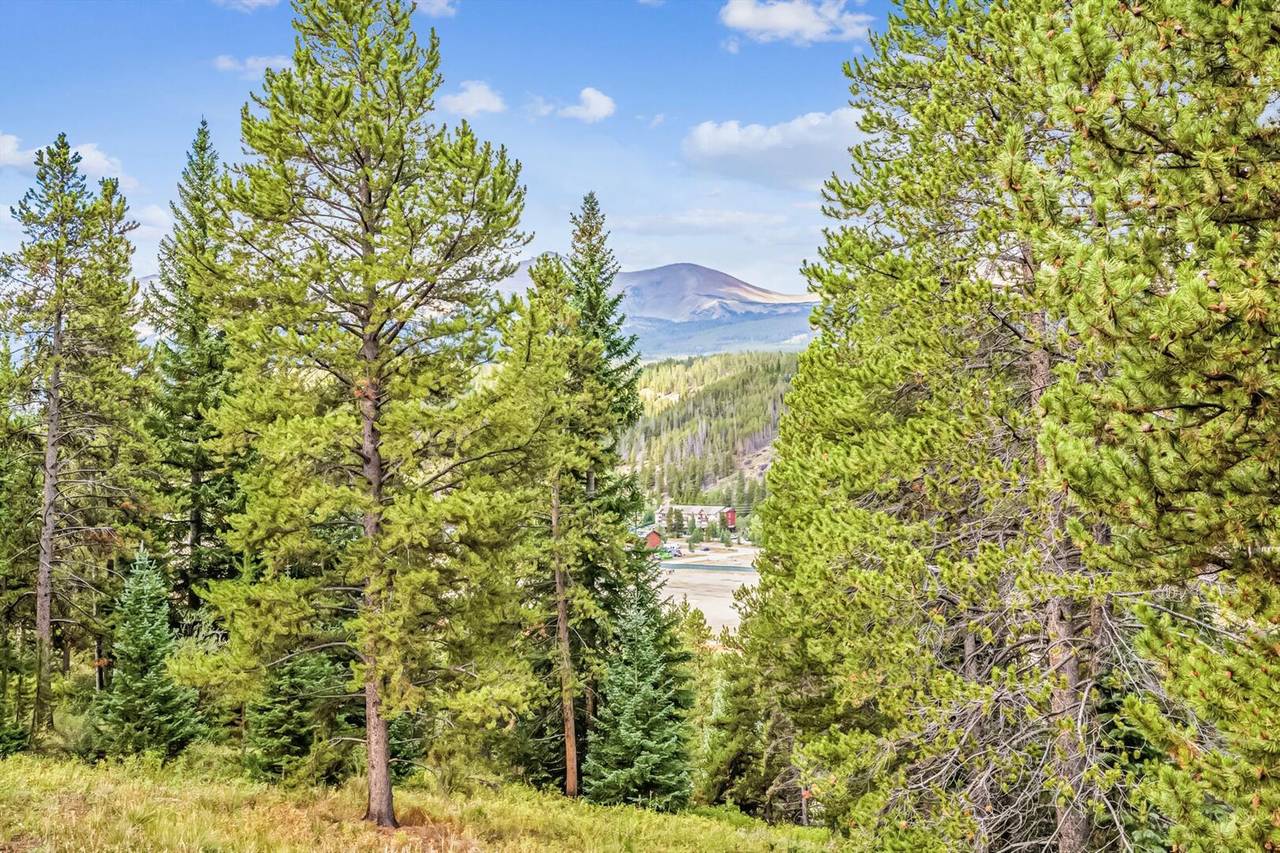 Exterior - Little Bear Lodge - Breckenridge Vacation Rental Exterior - Little Bear Lodge - Breckenridge Vacation Rental