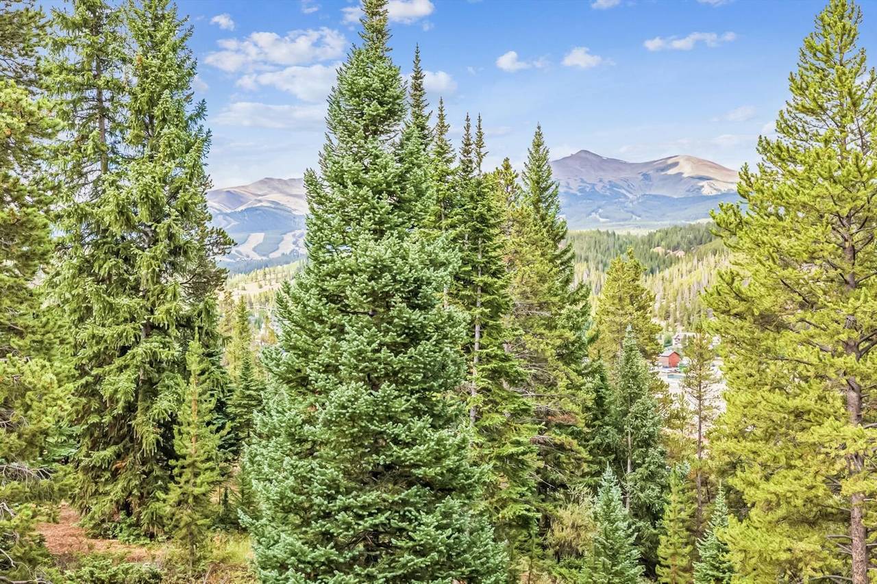 Exterior - Little Bear Lodge - Breckenridge Vacation Rental Exterior - Little Bear Lodge - Breckenridge Vacation Rental