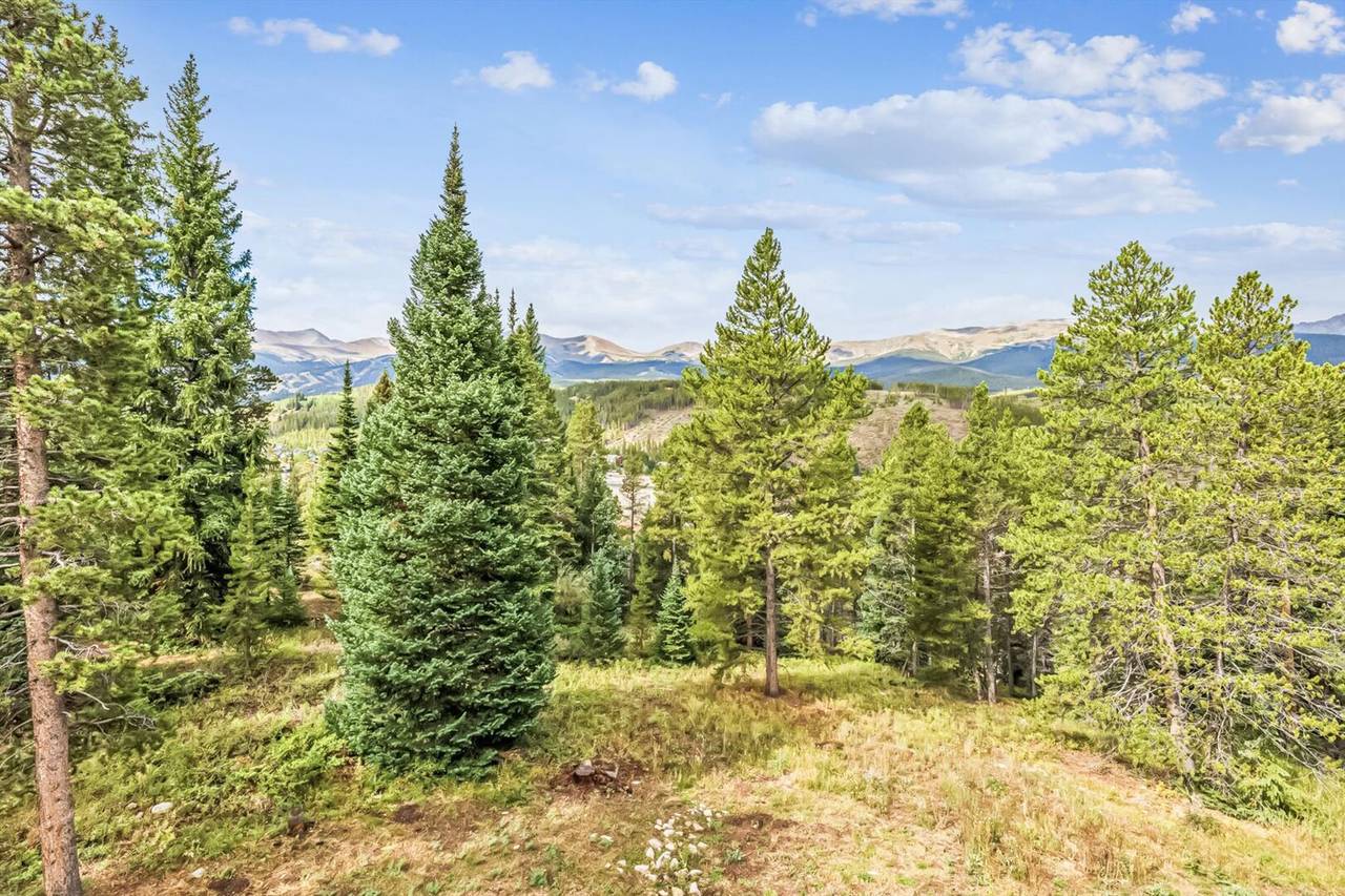 Exterior - Little Bear Lodge - Breckenridge Vacation Rental Exterior - Little Bear Lodge - Breckenridge Vacation Rental