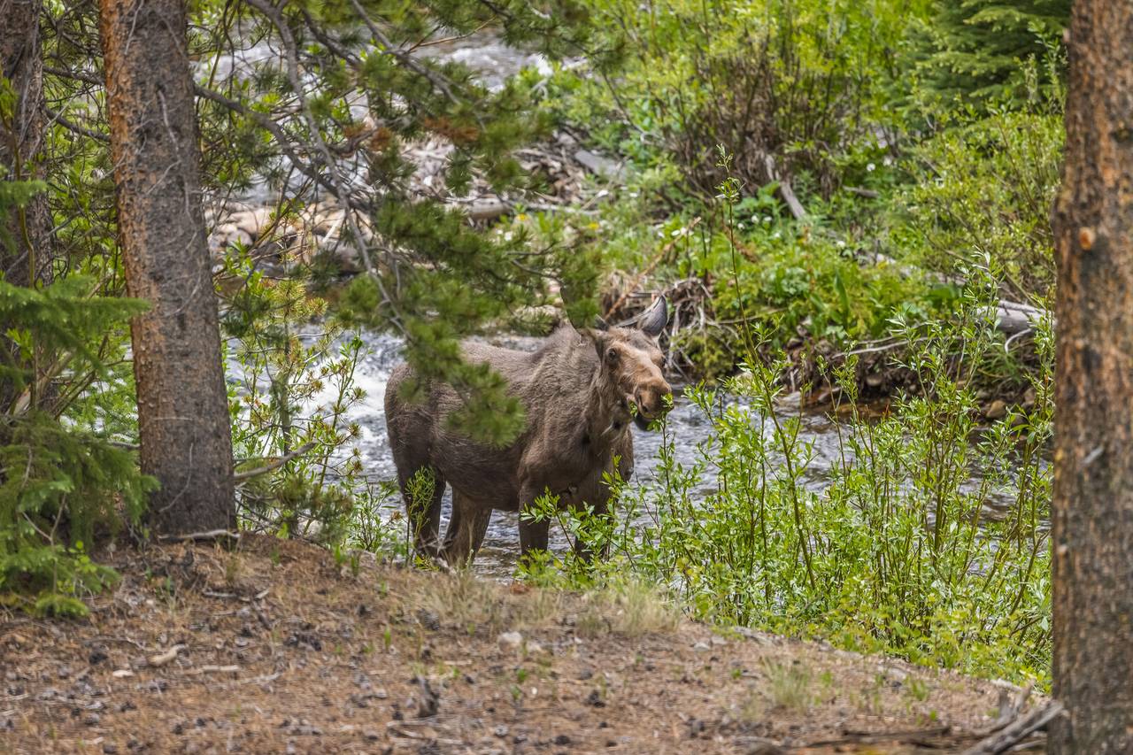 Exterior - The Blue River House at Breckenridge - Breckenridge Vacation Rental Exterior - The Blue River House at Breckenridge - Breckenridge Vacation Rental