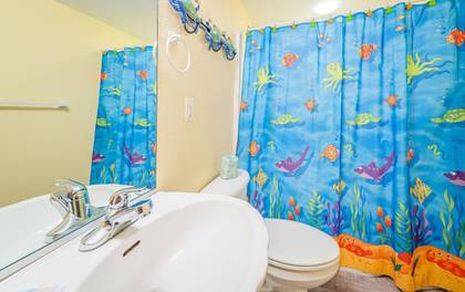 Lower Level Master Bath