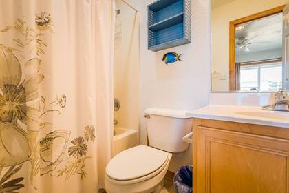 Mid Level Master Bath