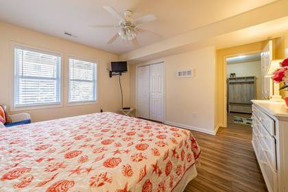 Lower Level Bedroom