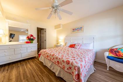 Lower Level Bedroom