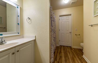 Lower Level Bath