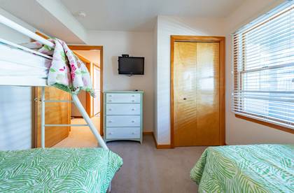 Lower Level Bedroom